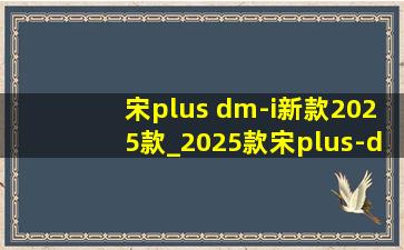 宋plus dm-i新款2025款_2025款宋plus-dmi